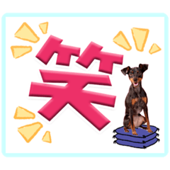 [LINEスタンプ] ミニピン デカ文字 感謝とお祝い