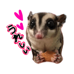 [LINEスタンプ] 袋モモンガ