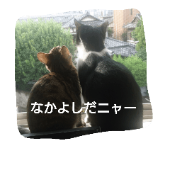 [LINEスタンプ] にゃーにゃとくろすけ