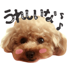 [LINEスタンプ] 松本家のアイドルふーちゃん❤︎