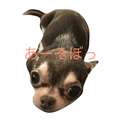[LINEスタンプ] テンコのひとこと