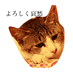 [LINEスタンプ] あたりめとテン