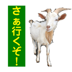 [LINEスタンプ] 確かに言ってそうな動物たち