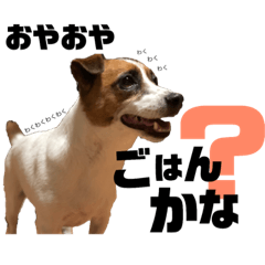 [LINEスタンプ] ジャックのれおくん
