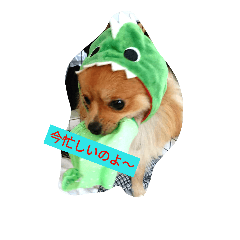 [LINEスタンプ] リオンで行こう！