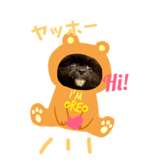 [LINEスタンプ] ポメ狆オレオのDailyスタンプ