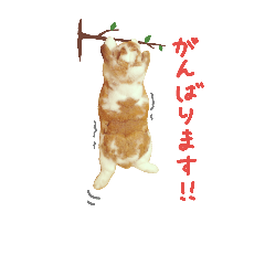 [LINEスタンプ] たれうさぎ もち ③