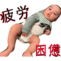 [LINEスタンプ] 澄羽が送る一言スタンプ