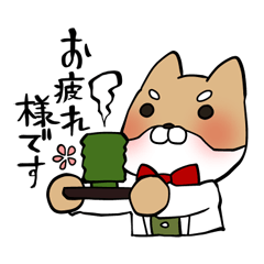 [LINEスタンプ] 毎日使える！えこしば博士スタンプ