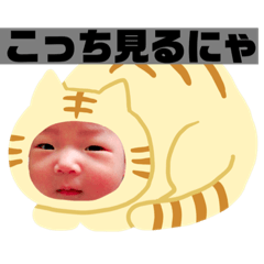 [LINEスタンプ] きよまさぶー