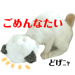 [LINEスタンプ] はぴすた3 みぃしゃんの使えそうなスタンプ