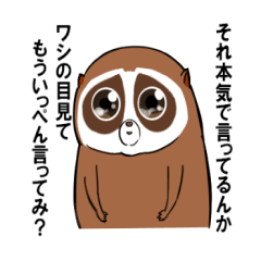 [LINEスタンプ] すろーろりすちゃん