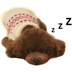 [LINEスタンプ] マロンちゃんのスタンプ 32