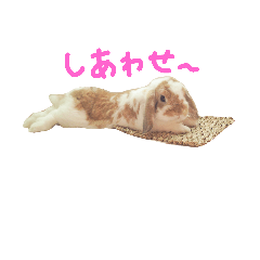 [LINEスタンプ] たれうさぎ もち