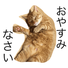 [LINEスタンプ] チビと愉快なニャかまたち