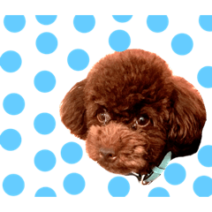 [LINEスタンプ] おこげ しりーず1