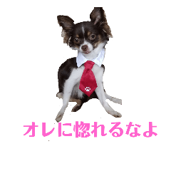 [LINEスタンプ] あんこくんのつぶやき