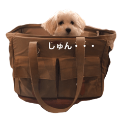 [LINEスタンプ] ちっちのきもち