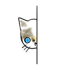 [LINEスタンプ] 僕の愛猫、のら