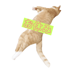 [LINEスタンプ] 徳ネコさん