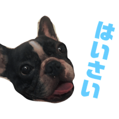 [LINEスタンプ] パトリック1
