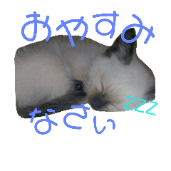 [LINEスタンプ] シャム猫のりんちゃん1の画像（メイン）