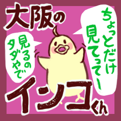 [LINEスタンプ] 大阪のインコくん Ver.2