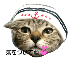 [LINEスタンプ] かぎしっぽのモカ