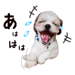 [LINEスタンプ] ルッチャンとミルちゃん
