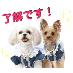 [LINEスタンプ] プリンとピノ