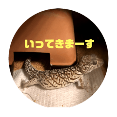 [LINEスタンプ] ハチュ好き2