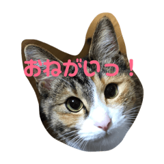 [LINEスタンプ] ハムふれんず。