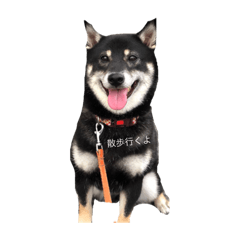 [LINEスタンプ] いっぬたち
