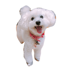 [LINEスタンプ] lucky8