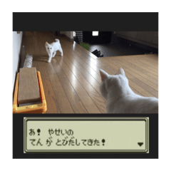 [LINEスタンプ] ちろる♡てん