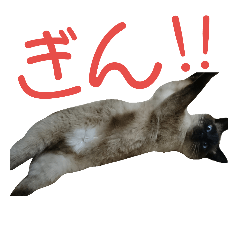 [LINEスタンプ] シャム猫のりんちゃん2の画像（メイン）