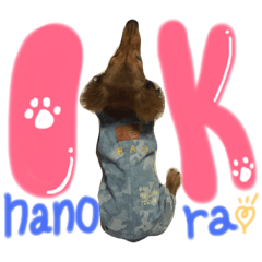 [LINEスタンプ] rao❤︎