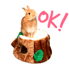 [LINEスタンプ] 結城家のどうぶつたち