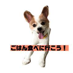 [LINEスタンプ] うちの健ちゃん