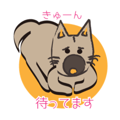 [LINEスタンプ] しっぽ隊1