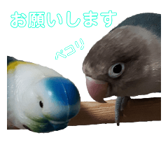 [LINEスタンプ] ピーちゃぁん