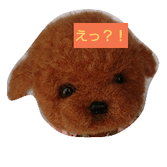 [LINEスタンプ] 幸福日和～めめ～羊毛スタンプ