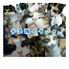 [LINEスタンプ] 猫語(敬語)スタンプ～みぃ＆のん～