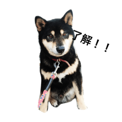 [LINEスタンプ] こんりき