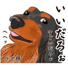 [LINEスタンプ] わんだふるLife2