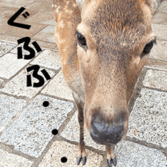 [LINEスタンプ] 奈良公園の鹿