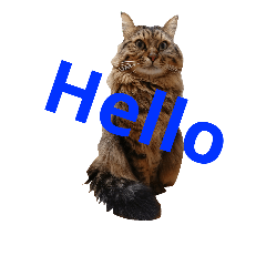 [LINEスタンプ] ねこつめ 1
