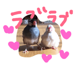 [LINEスタンプ] 文鳥、モモンガ、ハムスタースタンプ