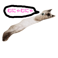 [LINEスタンプ] ぽいんてっど