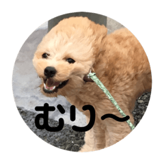 [LINEスタンプ] サスケの日常 2